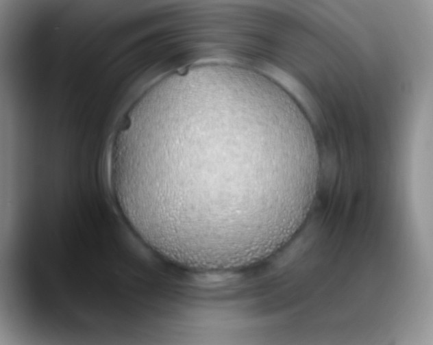 X0000089891290200707192007