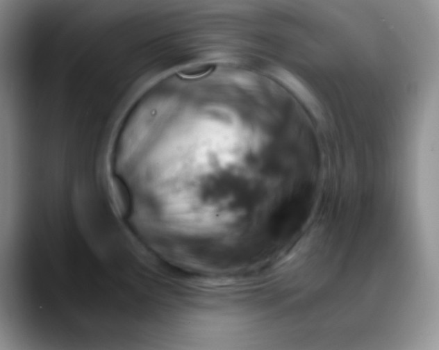 X0000089891291200707192007