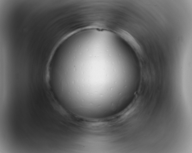 X0000089891292200707192007