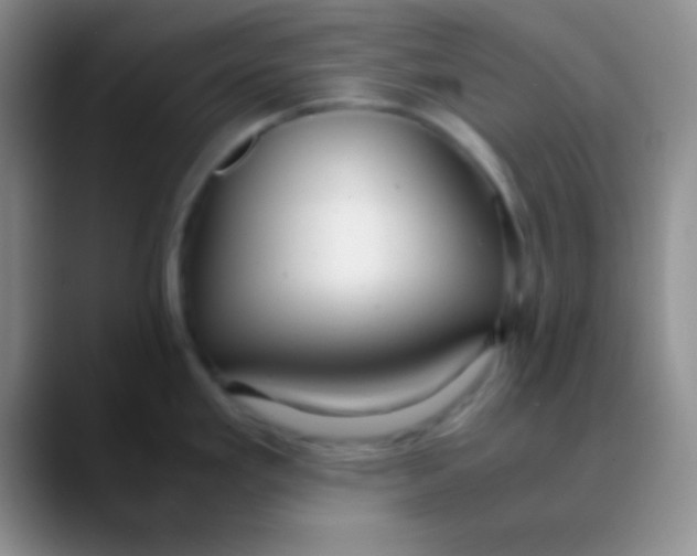 X0000089891293200707192007