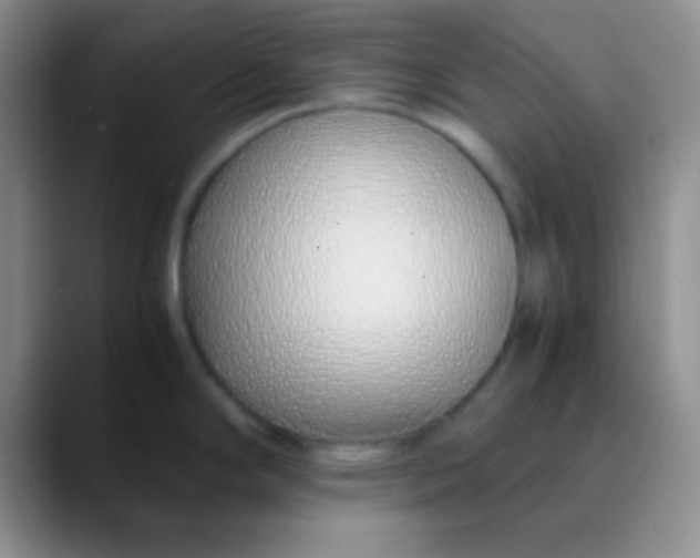 X0000089891294200707192007