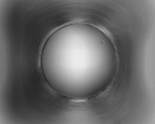 X0000089891296200707192007