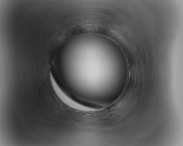 X0000089891298200707192007