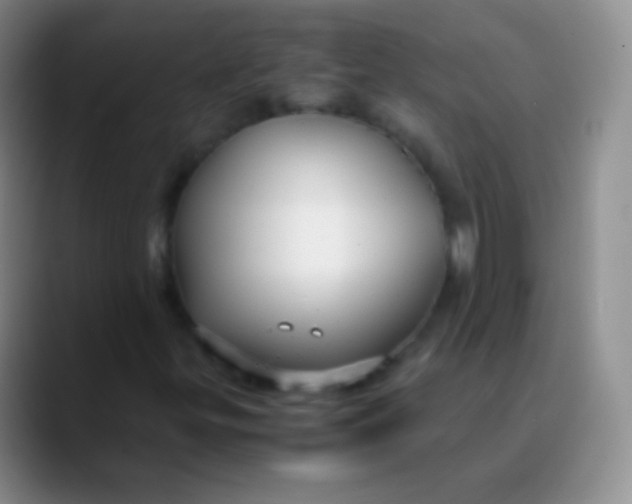 X0000089891299200707192007