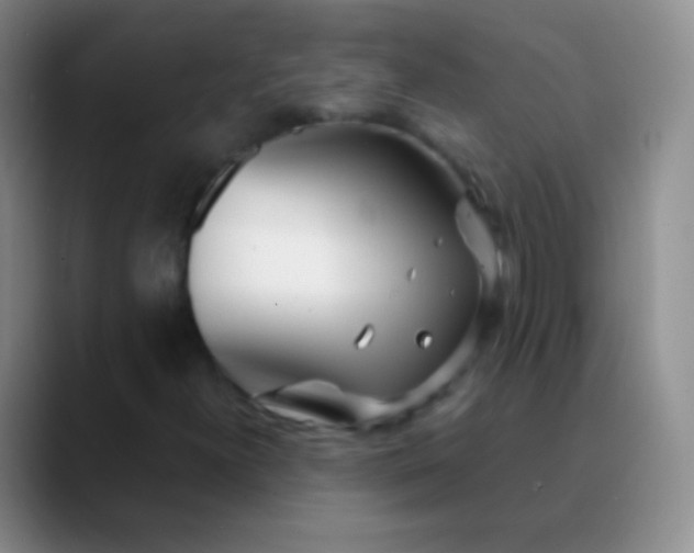 X0000089891300200707192007