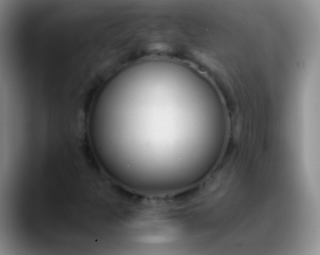 X0000089891301200707192007