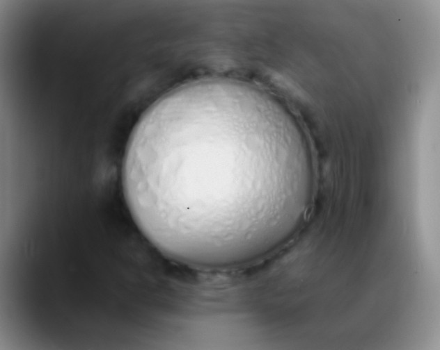 X0000089891302200707192007