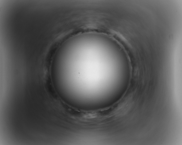 X0000089891303200707192007