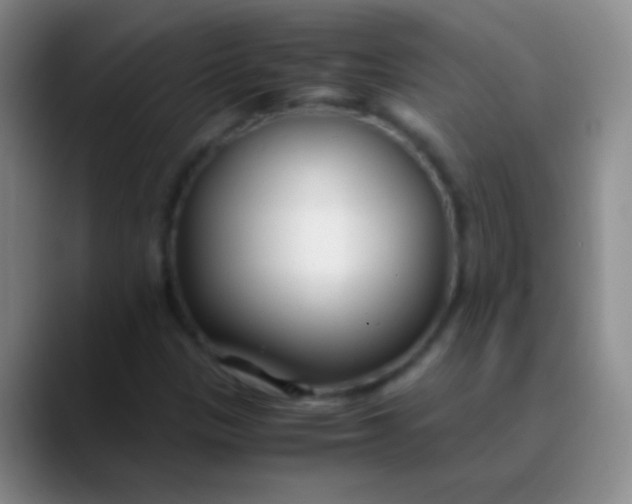 X0000089891305200707192007