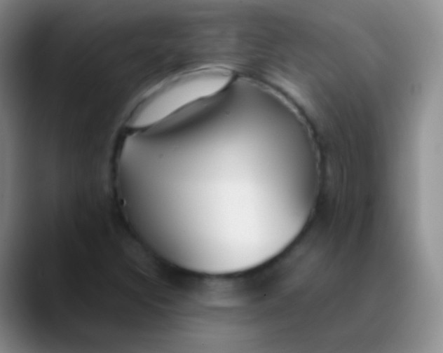 X0000089891308200707192007