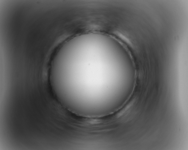 X0000089891309200707192007