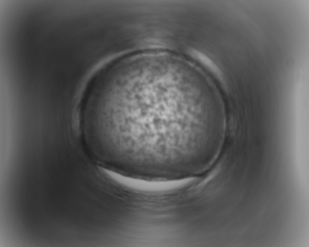 X0000089891310200707192007