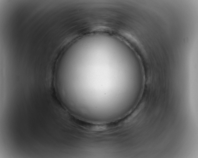 X0000089891313200707192007