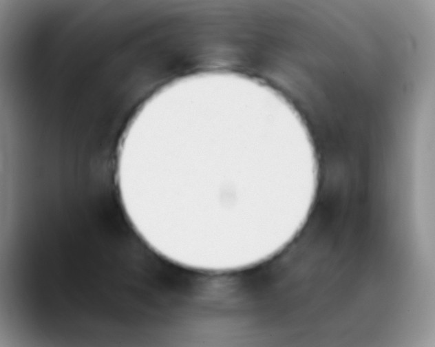 X0000089891314200707192007