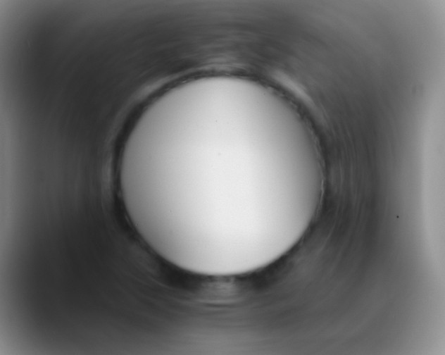 X0000089891315200707192007