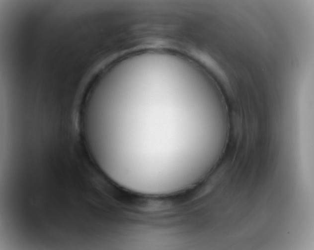 X0000089891318200707192007