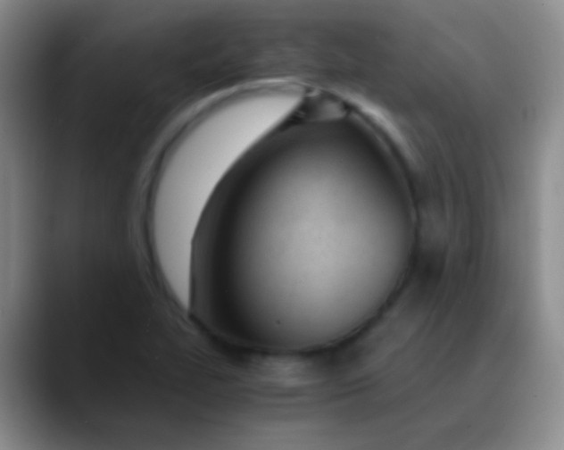 X0000089891319200707192007