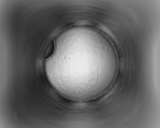 X0000089891321200707192007