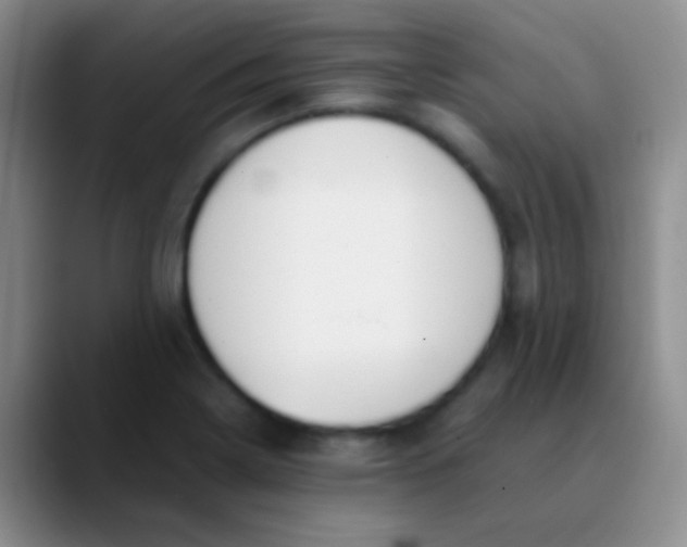 X0000089891322200707192007