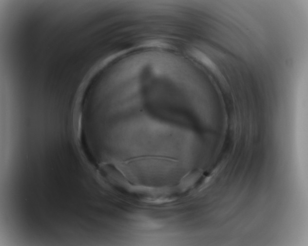 X0000089891323200707192007