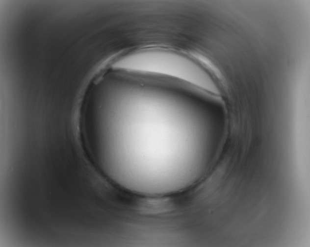 X0000089891325200707192007