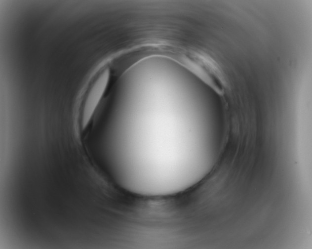 X0000089891326200707192007