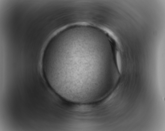 X0000089891327200707192007