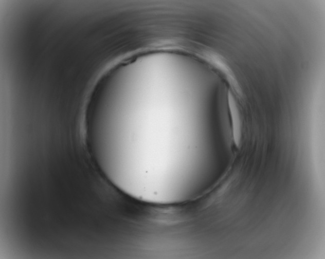 X0000089891328200707192007