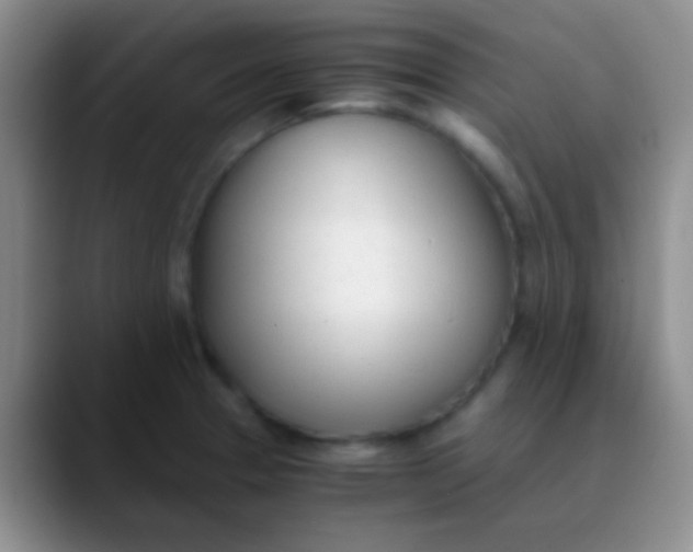 X0000089891329200707192007