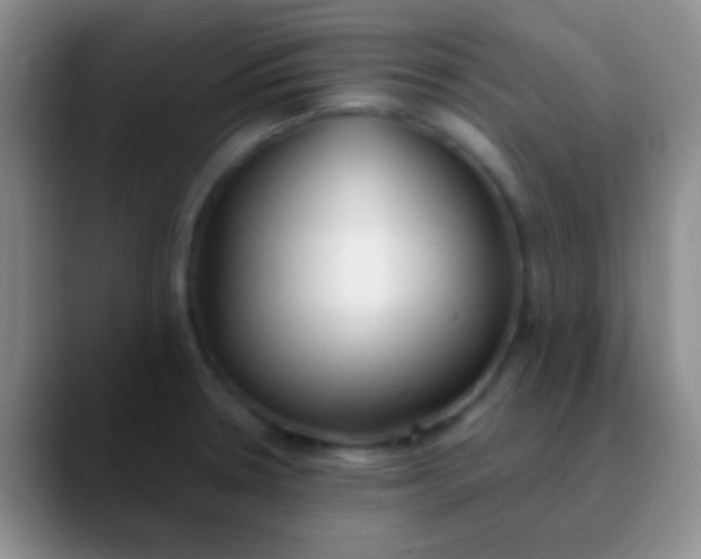 X0000089891330200707192007