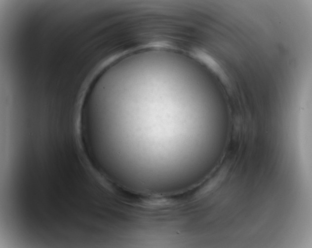 X0000089891331200707192007