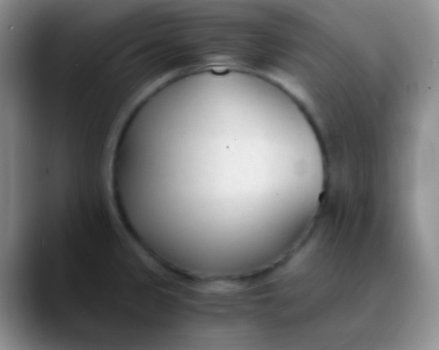 X0000089891333200707192007