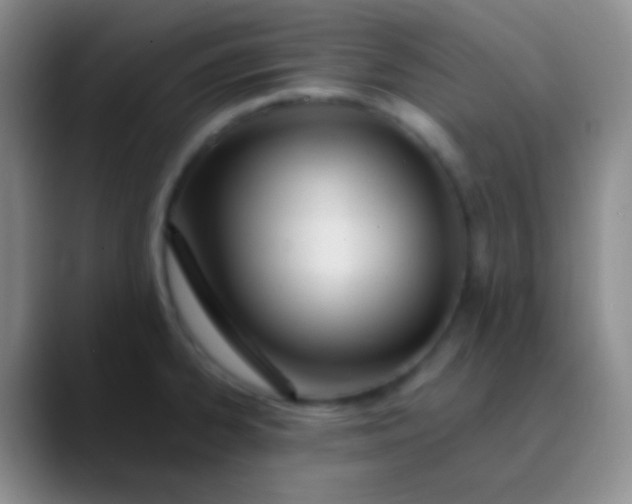 X0000089891334200707192007