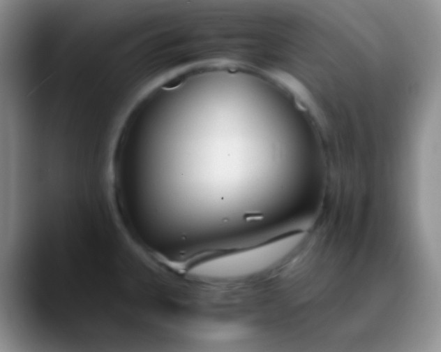 X0000089891335200707192007