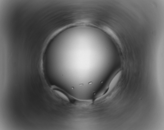 X0000089891336200707192007