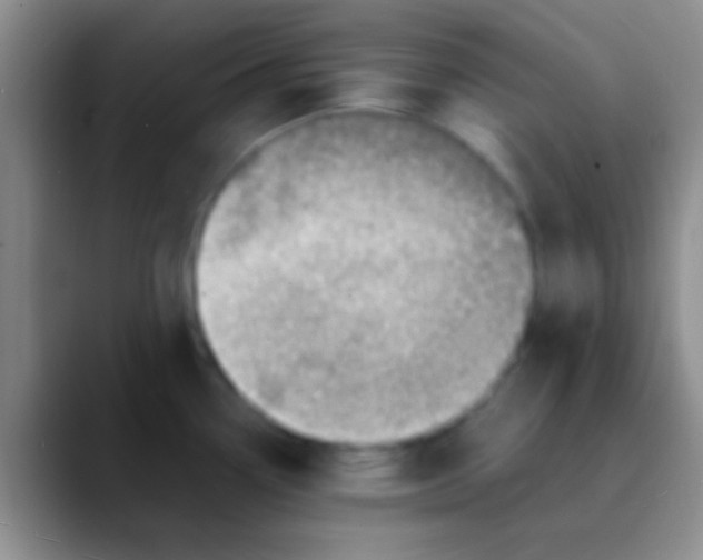 X0000089891338200707192007