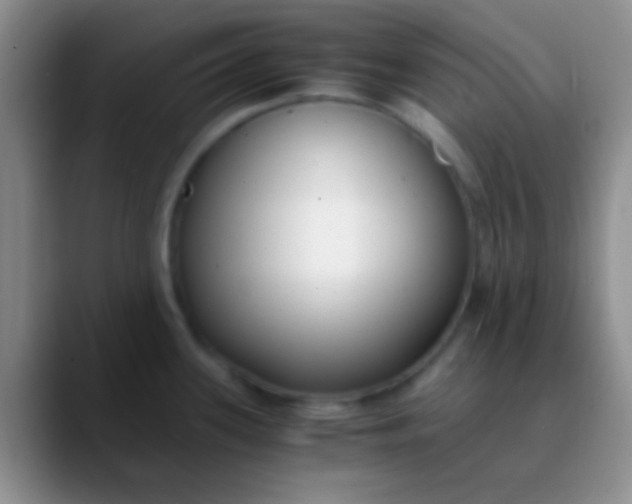 X0000089891339200707192007