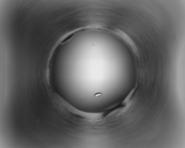 X0000089891340200707192007