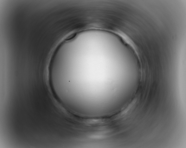 X0000089891341200707192007