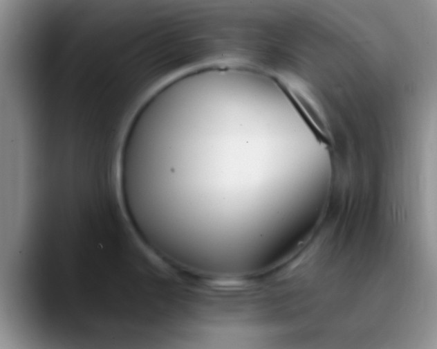 X0000089891343200707192007