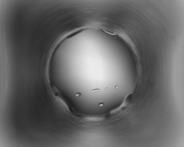 X0000089891344200707192007