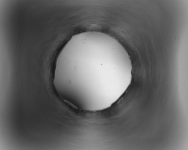 X0000089891345200707192007