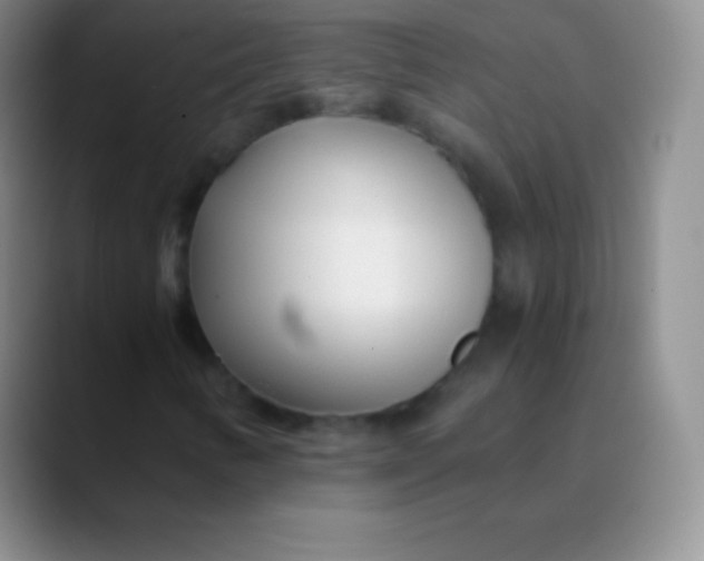 X0000089891346200707192007