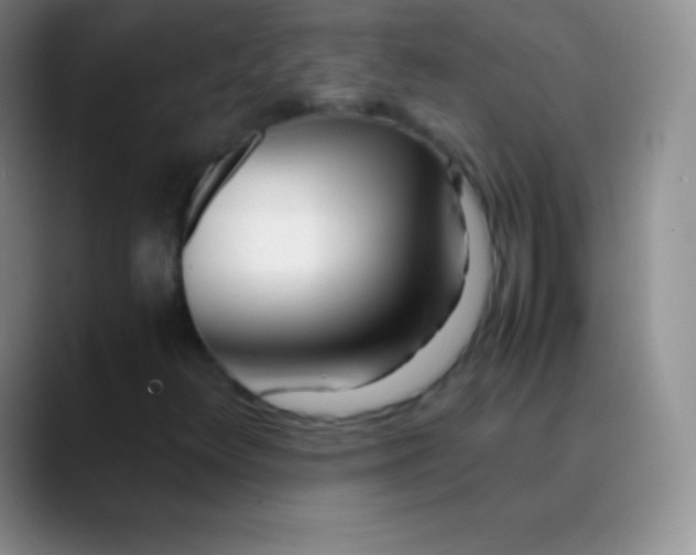 X0000089891348200707192007