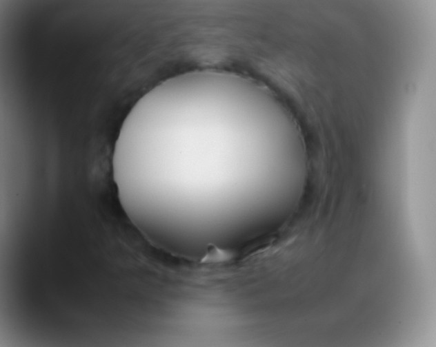 X0000089891349200707192007