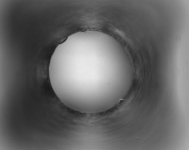 X0000089891350200707192007