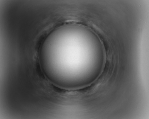 X0000089891351200707192007