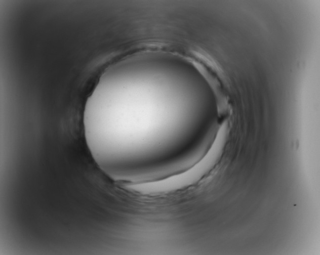 X0000089891352200707192007