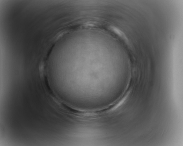 X0000089891353200707192007