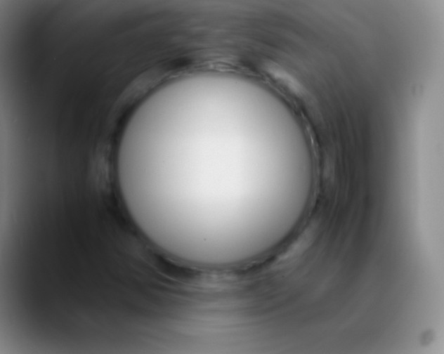 X0000089891354200707192007